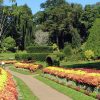 Acme Travels Peradeniya