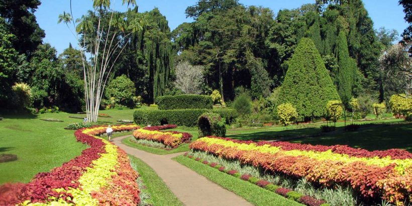 Acme Travels Peradeniya