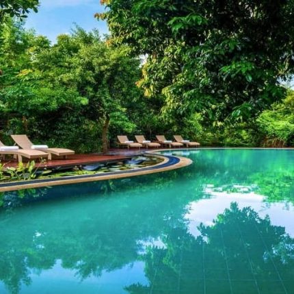 Jungle Beach Resort