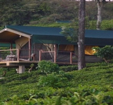 Madulkelle Eco Lodge