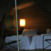 Big Game camp 3