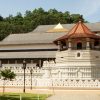 Kandy Pic