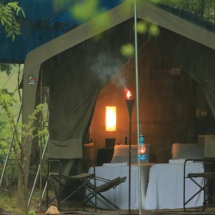 Big Game Camp Wilpattu