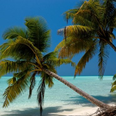 Maldives